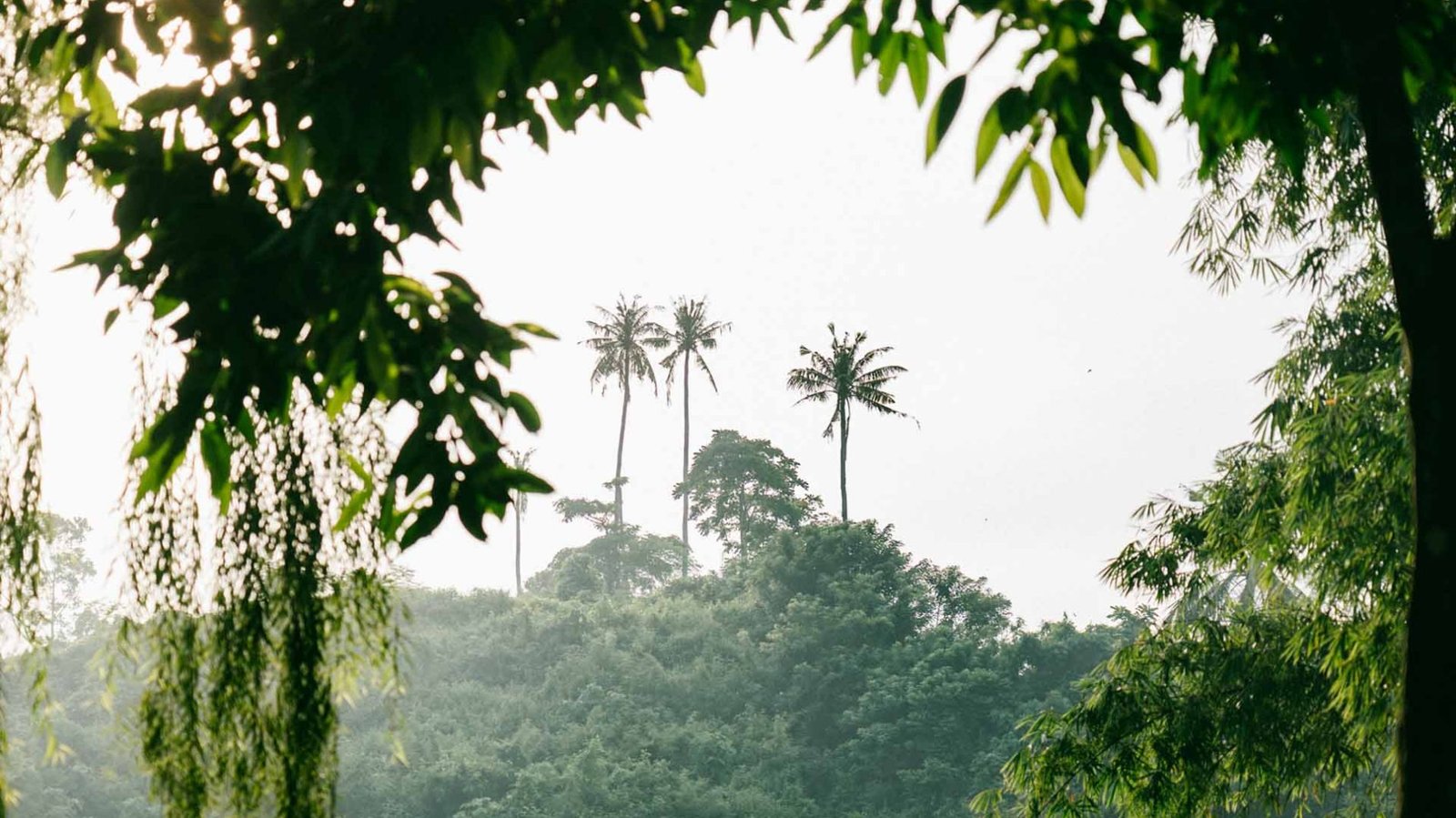 yamabalian-homeslide-new-7