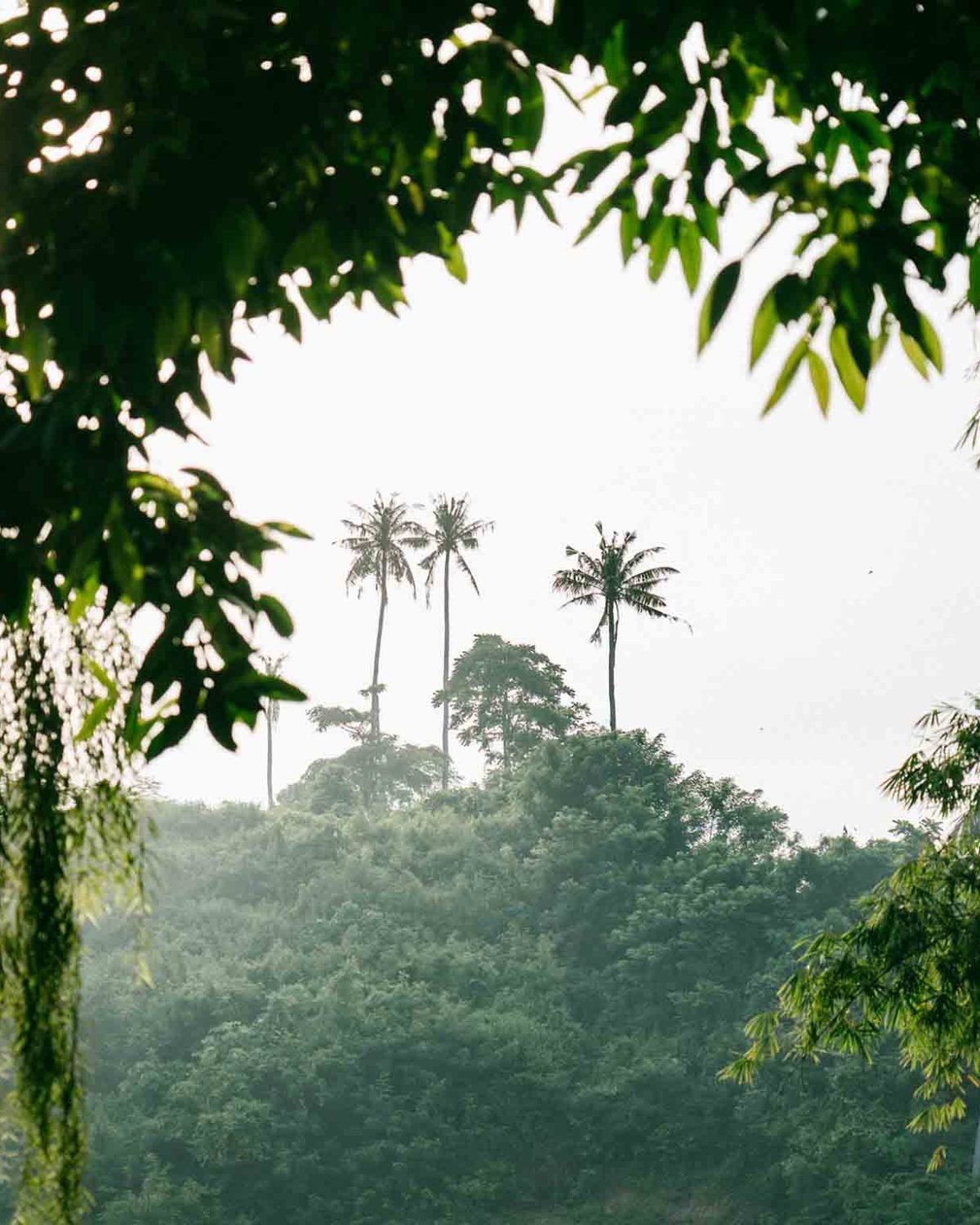 yamabalian-homeslides-7